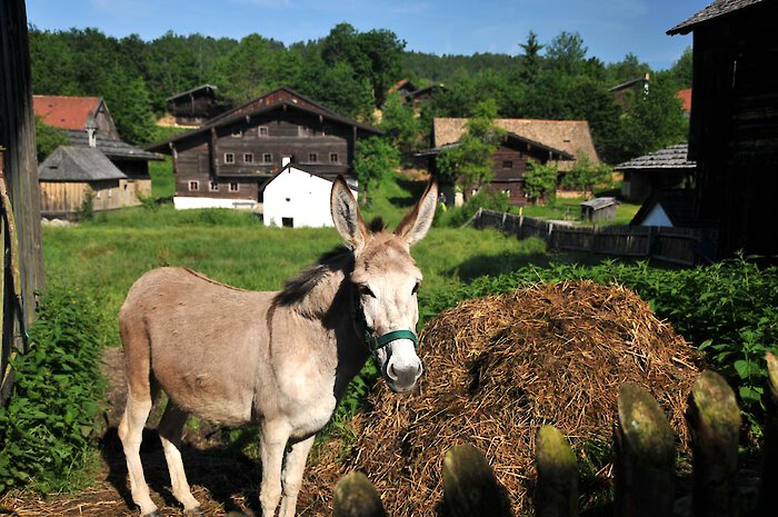 Museumsdorf im Bayerischen Wald